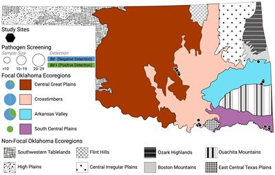 Host ecology drives frog skin microbiome diversity across ecotone in South-Central North America